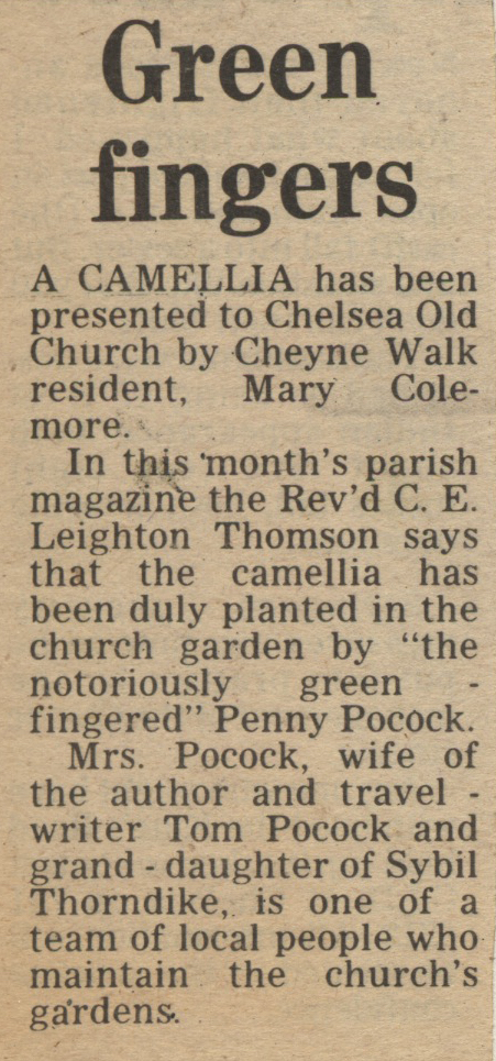 19820305 PENNY POCOCK CAMELLIA CN.jpg